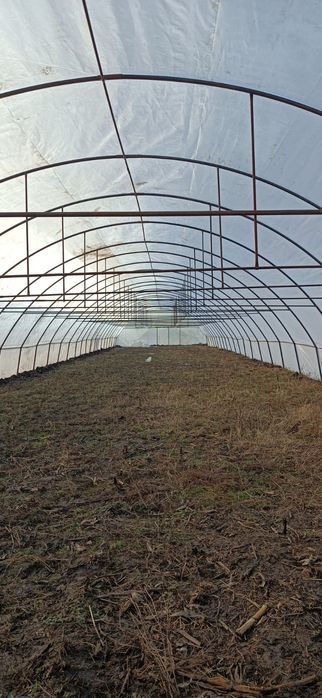 Solarii ieftine de calitate