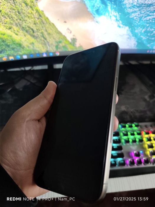 iPhone 15 Pro Max / 256 GB