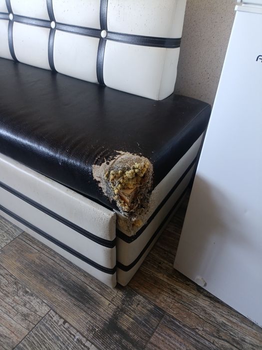 ДДиван кухонный угловой. Подрали коты.