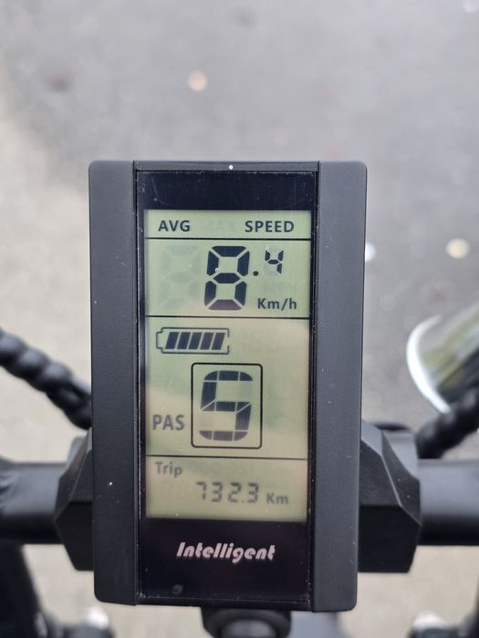 Bicicleta asistata electric