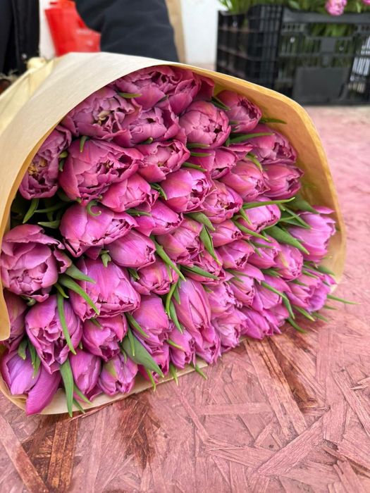 Тюльпаны к 8 марта