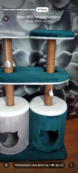 Домики для кошек