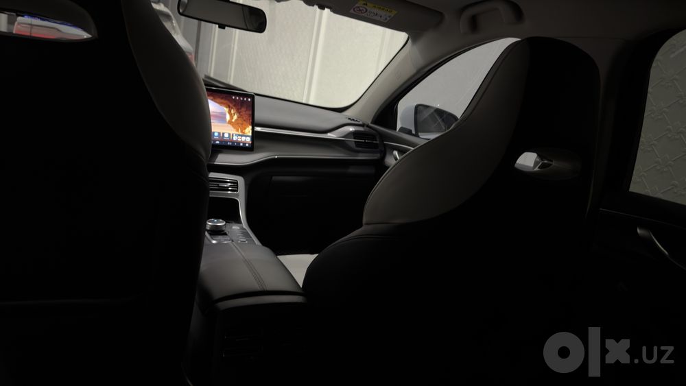 BYD Chazor 2024
