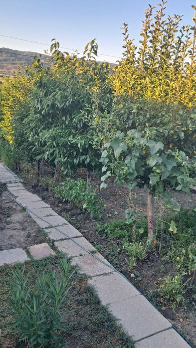 Vand casa cu etaj in Strehaia ,Mehedinti