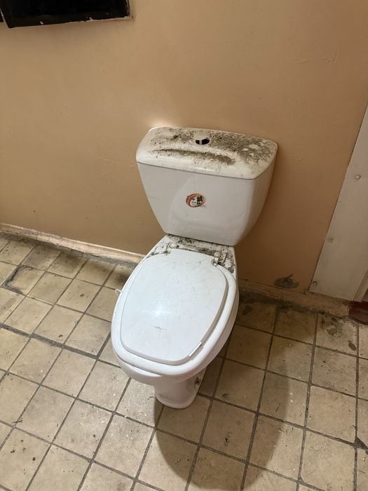 Унитаз бесплатно. Работает.