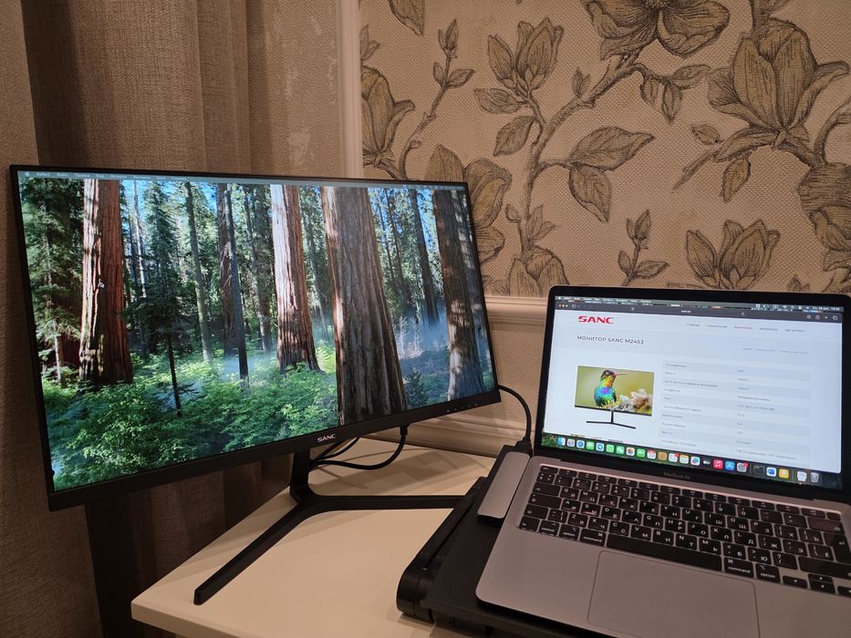 Монитор SANC M2453