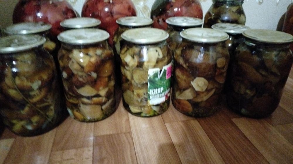 Засолка дачная разная