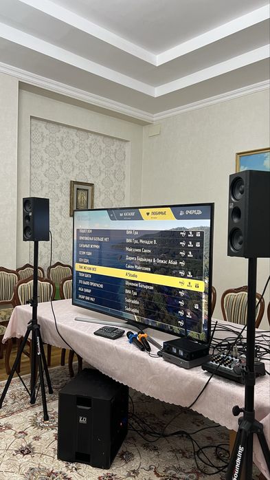 Продаю комплект дом.караоке Studio Evolution Evobox
