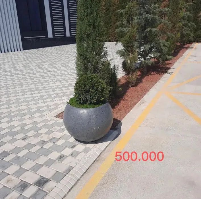 Гул туваклар, жуда бақувват