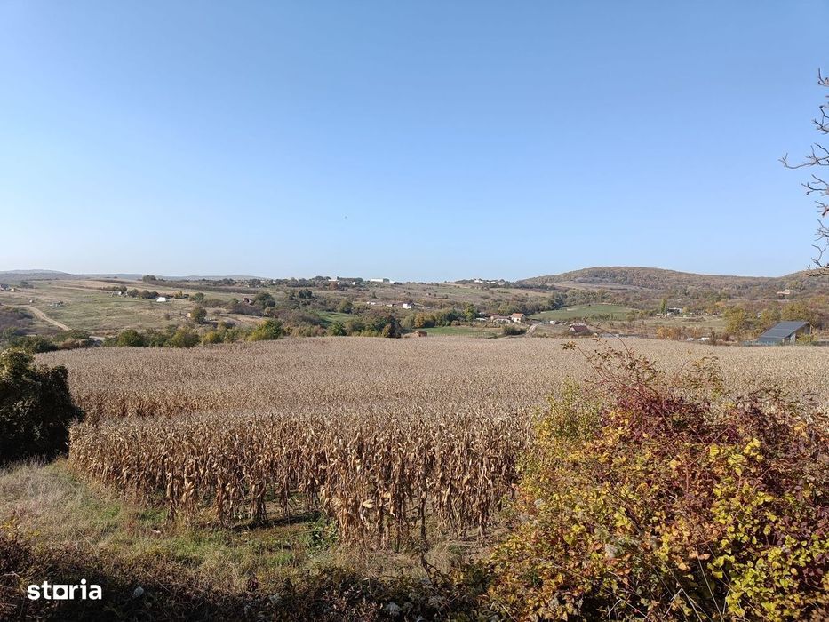 Teren extravilan 5,671mp Cluj-Napoca / Strada Lombului