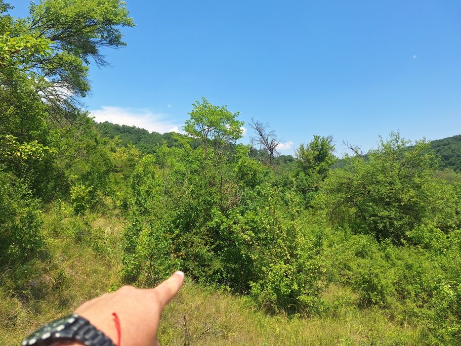 Продава се Парцел в с. Ковачевци, Област Перник - 1892 кв.м за 16 €/кв.м - Снимка #1