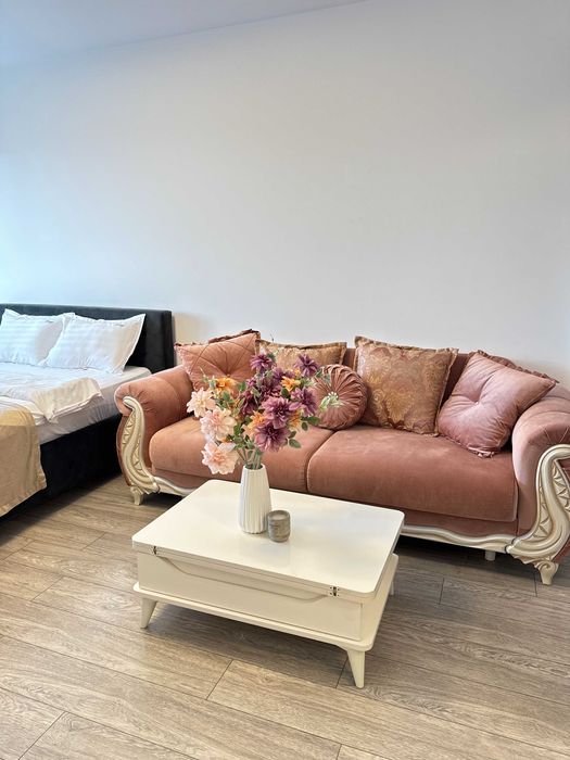 Cazare Regim Hotelier 1/2/3 Cam - Palas/Copou/ Piata Unirii