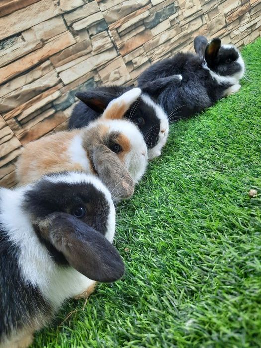 Подарок для детей