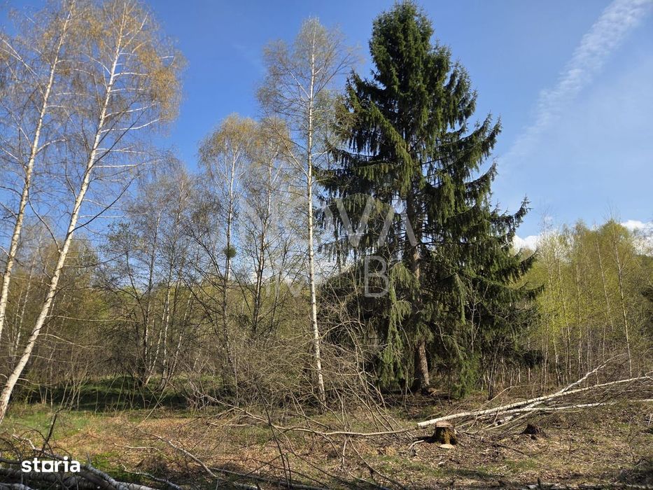 Teren intravilan de vanzare - Vistisoara