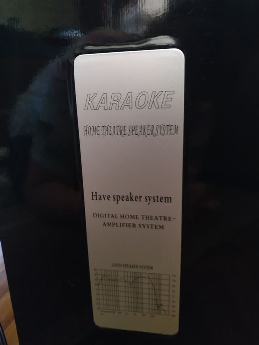 Цифровая аккустическая система для караоке, праздников, домашнего кино