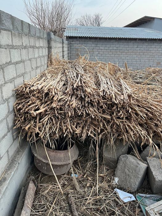 G'arov chorni orniga yopsa boladi