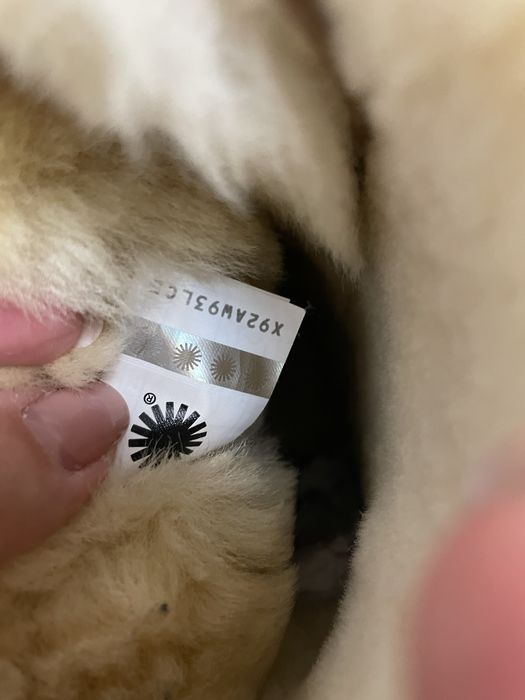 Vând cizme UGG, mărimea 37