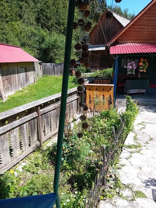Casa Părintească