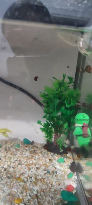 Аквариум 30л аквариум для рыбок