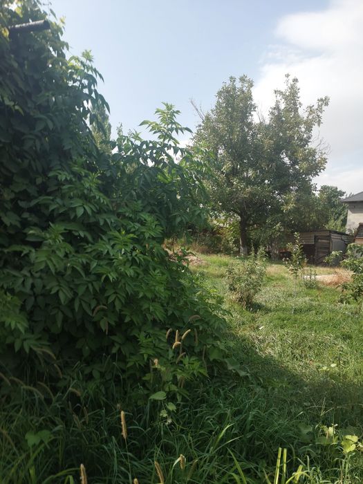 Продам дача кайнар булак