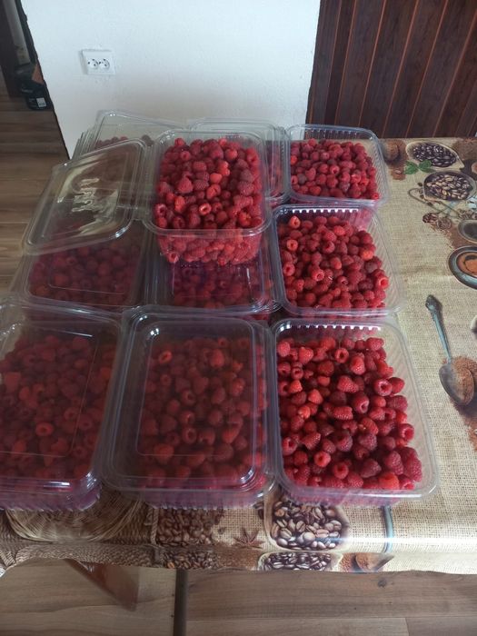 Zmeură  congelată.