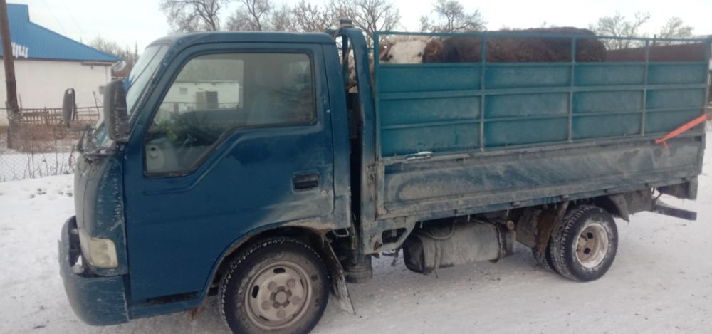 Доставка по городу по региону