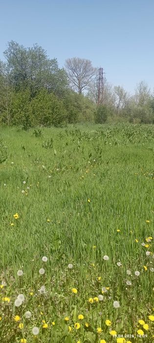 Продавам имот в с.Горно Пещене, общ.Враца