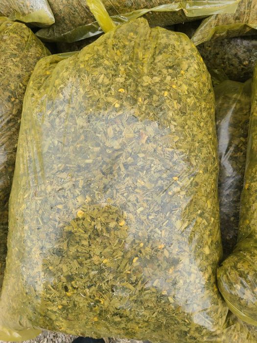 Donli Donli Selos!! Дастафки есть машины