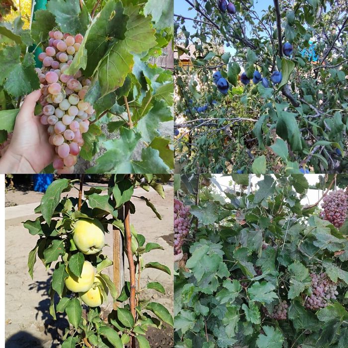 Продам дом в СО Химик