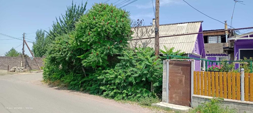 Продам дом в Коксае (Путь ИЛЬича)