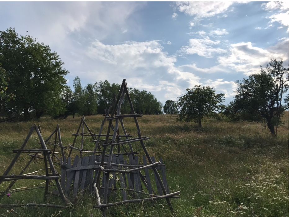 Vand/schimb 1 hectar Nucsoara Arges