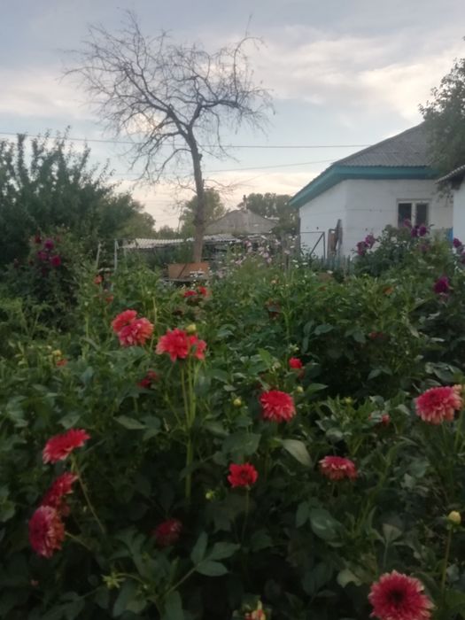 Продам                             .