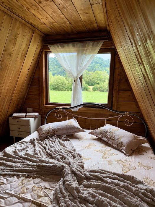 Colt Verde Bucovinean Campulung Moldovenesc