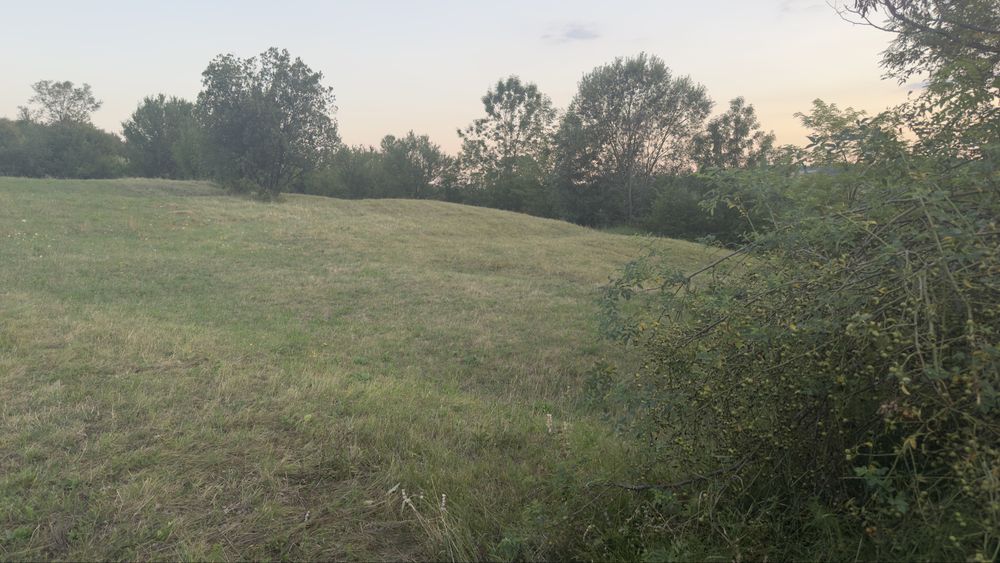 Teren de vanzare extravilan