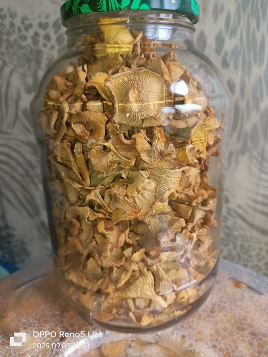 Продам сушёные лисички.