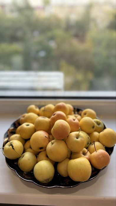 Дача на Федоровке Машиностроитель