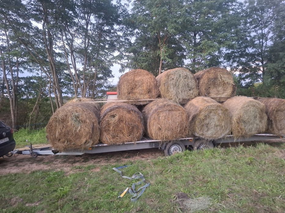 Vind  baloti de  fin rotunzi