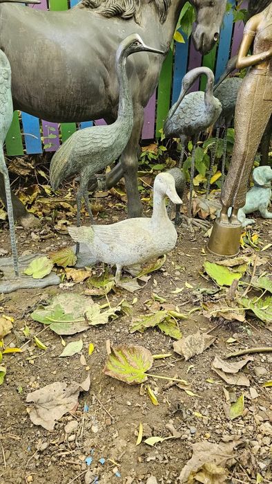 O deosebită Rată din bronz