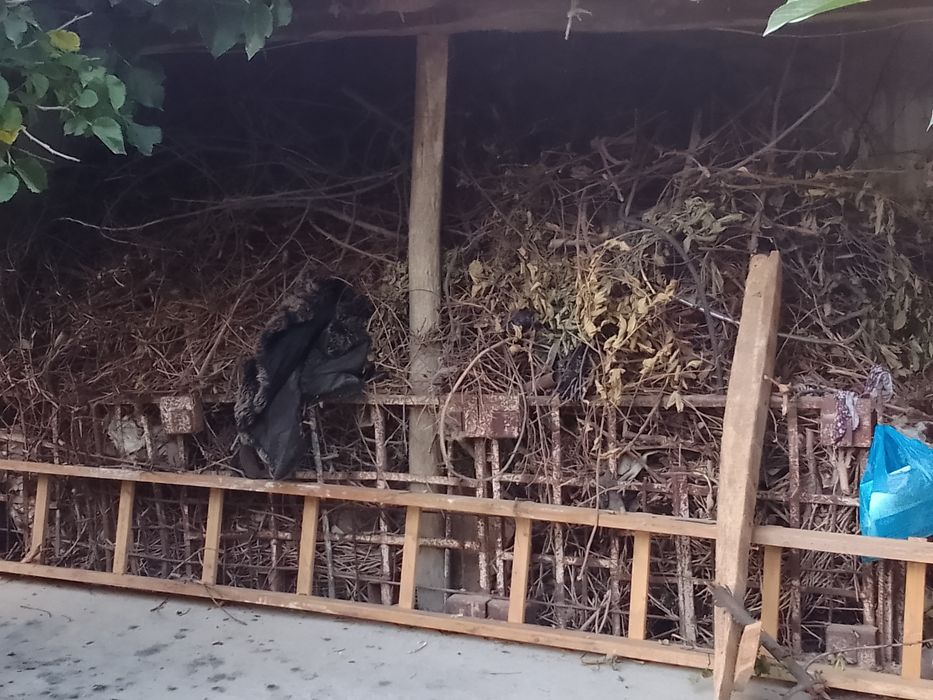 Oʻtin sotiladi Bir Tilachka