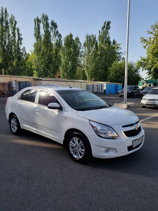 Cobalt 2024 gaz PP