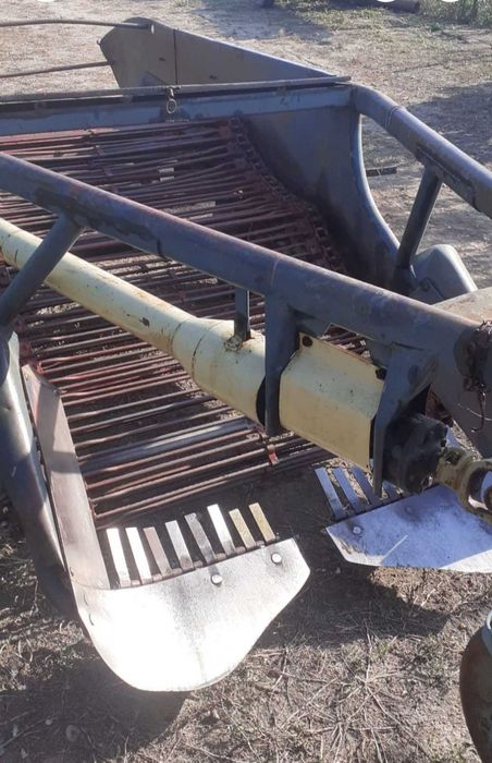 Recoltat legume (cartofi, ceapa, usturoi)