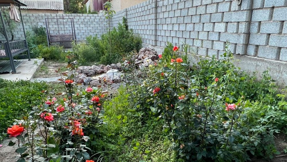 Дача Кайнар Булак