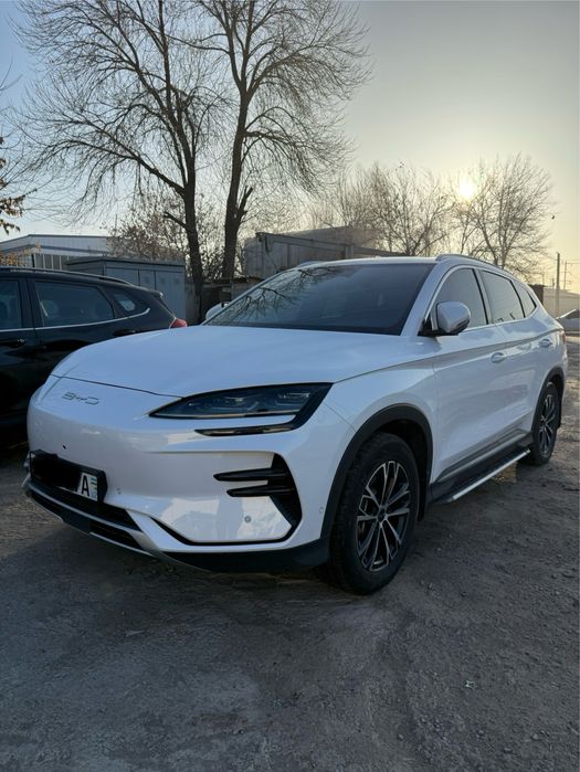 BYD chempion Full 605