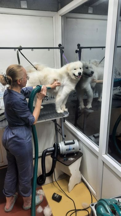 Ищем кабеля для встреч