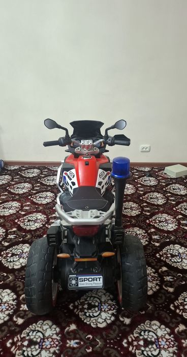 Matasikl katta model politeskiy