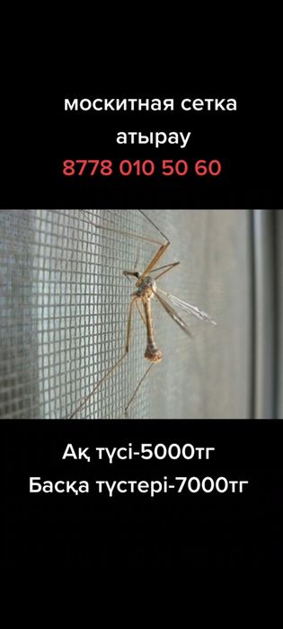 москитные сетки Атырау