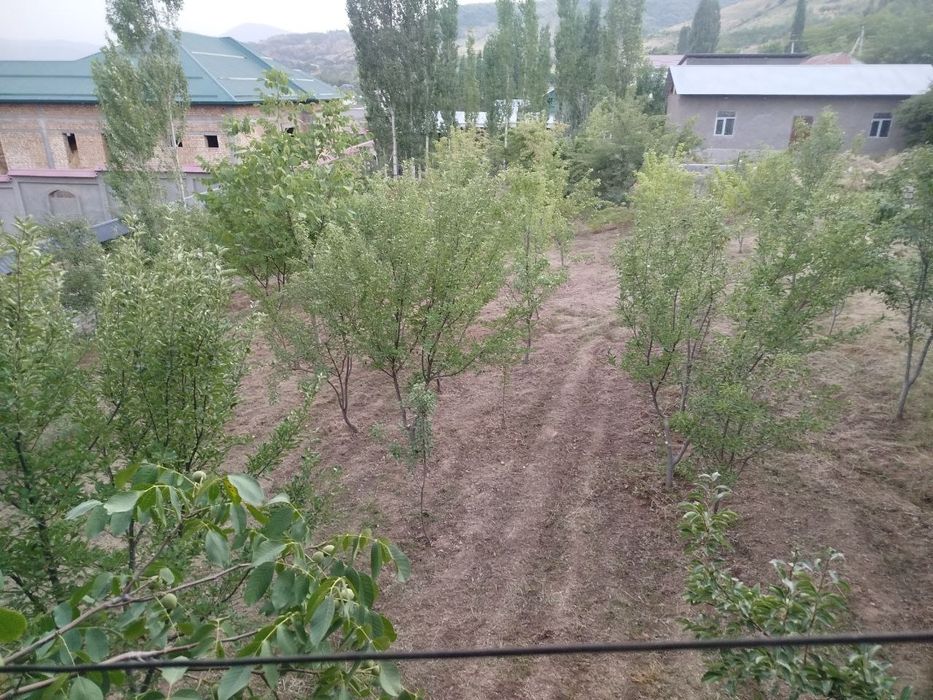 Sijjakda uchaska yer narxida sotiladi 8 sotik beznis uchun yaxshi joy