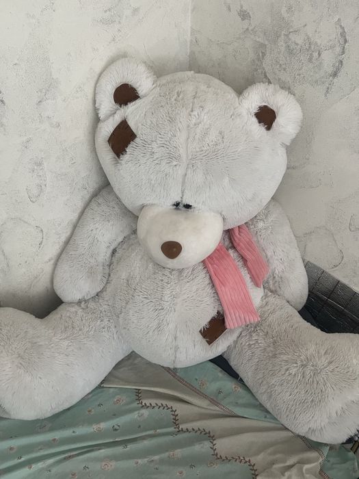 Tedy ayiq kottasi