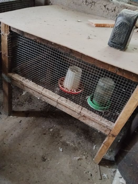 Клетки для перепелов