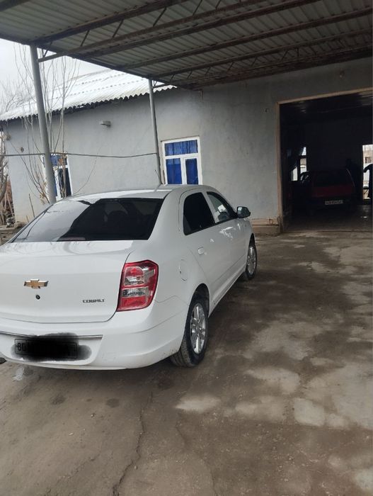 cobalt 2023 полный радной